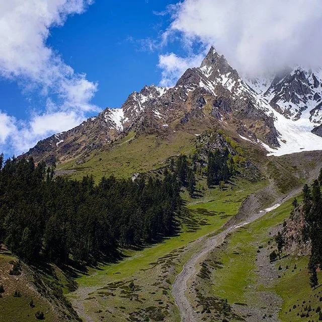 Naltar Valley