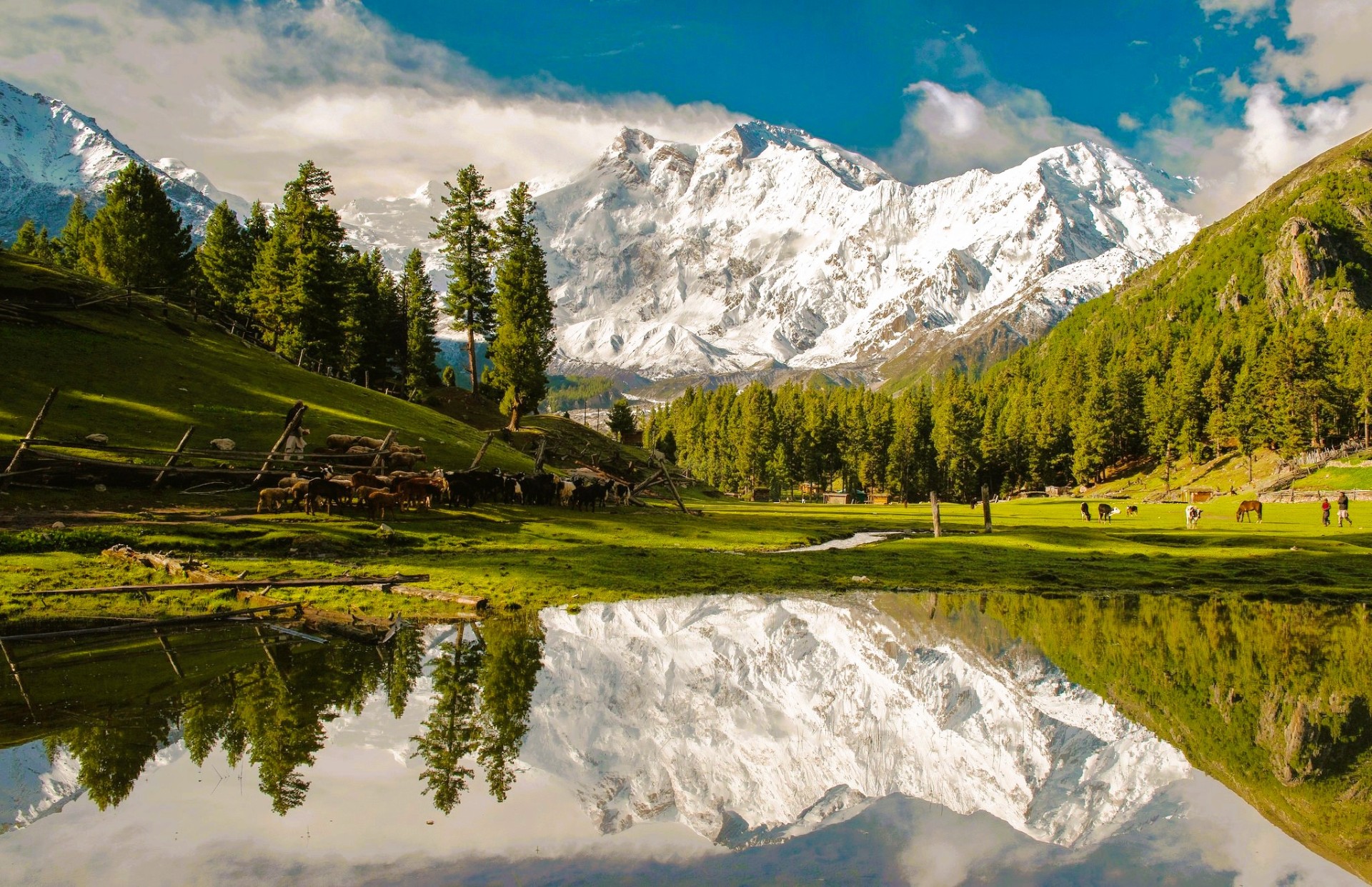 Fairy Meadows with Nanga Parbat — Pakistan Karakoram